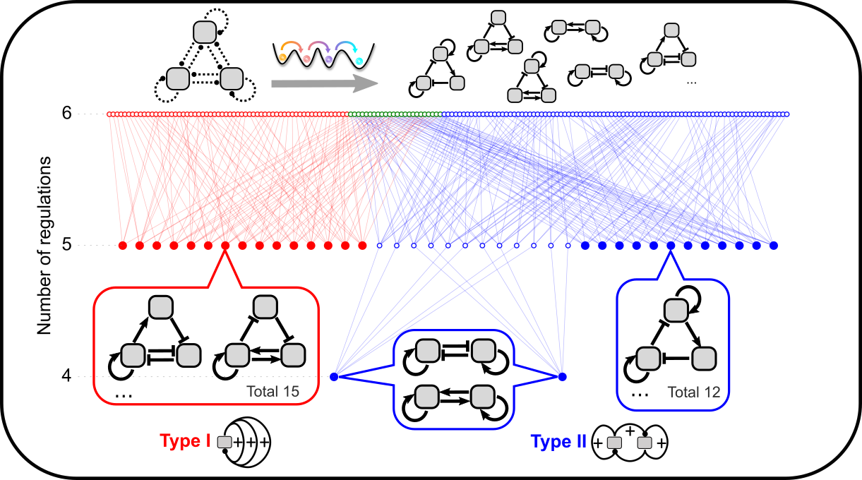 R_network